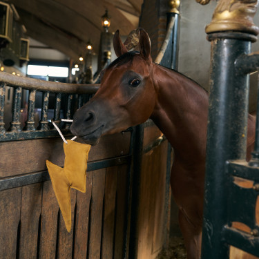 Stal-speeltje Imperial Riding bliksem Geel Stal-speeltje Imperial Riding bliksem Geel