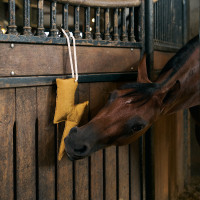 Stal-speeltje Imperial Riding bliksem Geel