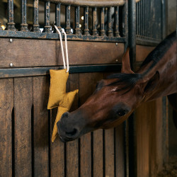 Stal-speeltje Imperial Riding bliksem Geel Stal-speeltje Imperial Riding bliksem Geel