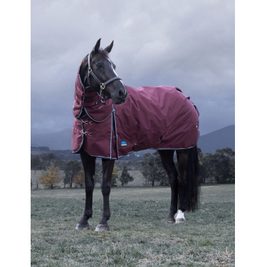 ComFiTec Essential Turnout Weatherbeeta 220g deken met afneembare hals Bordeaux / marineblauw