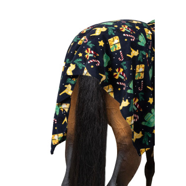 Kerstdeken Horze Kersttrui