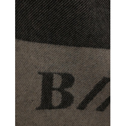 new Zwarte schoonheid