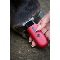 Tondeuse Liveryman Robin Trimmer Rood