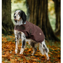 Honden deken Horseware Heritage Newmarket Bruin / marineblauw witney