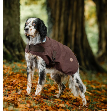 Honden deken Horseware Heritage Newmarket Bruin / marineblauw witney