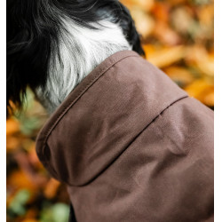 Honden deken Horseware Heritage Newmarket Bruin / marineblauw witney