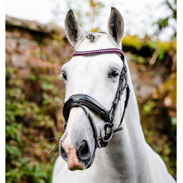 Hoofdstel Horseware Diamante Flash Zwart / roze