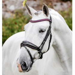 Hoofdstel Horseware Diamante Flash Zwart / roze