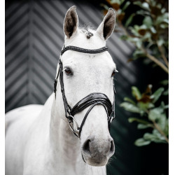 Hoofdstel Horseware Diamante Flash Zwart / zwart
