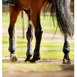 Horseware® Classic kogelbeschermers Zwart / zwart