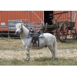 Westernzadel Westride Topeka