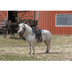 Westernzadel Westride Topeka