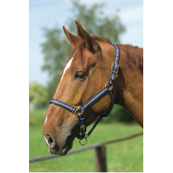 Nylon halster met lederen voering Norton Marine / hemelblauw