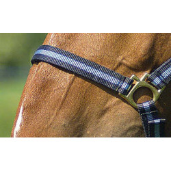 Nylon halster met lederen voering Norton Marine / hemelblauw