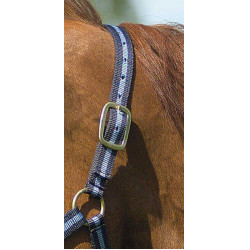 Nylon halster met lederen voering Norton Marine / hemelblauw