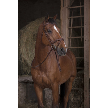 Rubberen teugels Norton Pro Havana Bruin