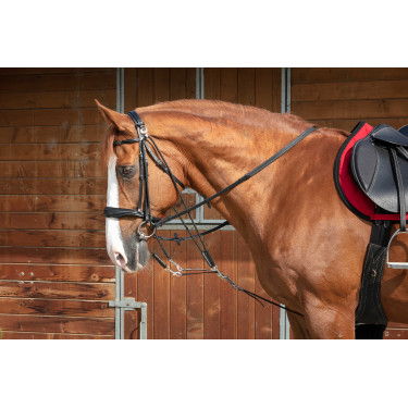 Norton Pro katrolhoofdstel Zwart