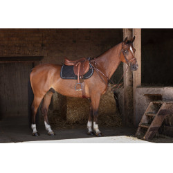 Gecombineerde singel Eric Thomas Hybrid Havana Bruin