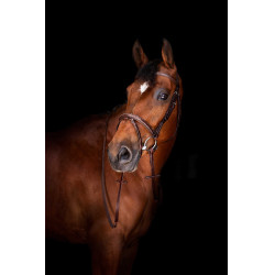 Teugels Hunter Eric Thomas Elite 16 mm Havana Bruin