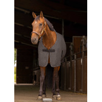 Overhemd Equithème Gemêleerd Gemêleerd grijs