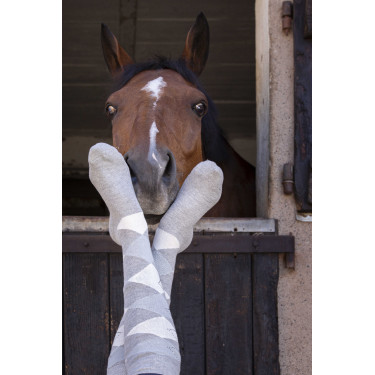 Sokken Equithème Girly Grijs / hemelblauw Sokken Equithème Girly Grijs / hemelblauw