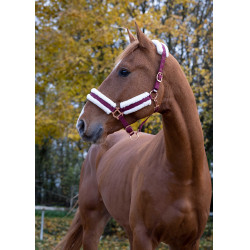 Norton Comfort halster Bordeaux