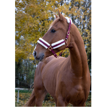 Norton Comfort halster Bordeaux