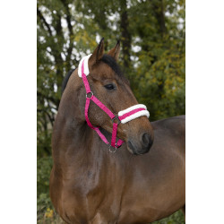 Norton Comfort halster Framboos Rood