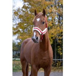 Norton Comfort halster Rood