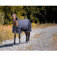 Waterdichte Oxford-deken Riding World Zwart