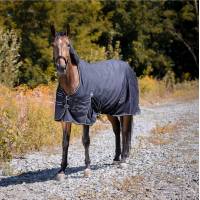 Waterdichte Oxford-deken Riding World Zwart Waterdichte Oxford-deken Riding World Zwart
