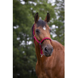 Halster Norton nylon gevoerd met neopreen Rood