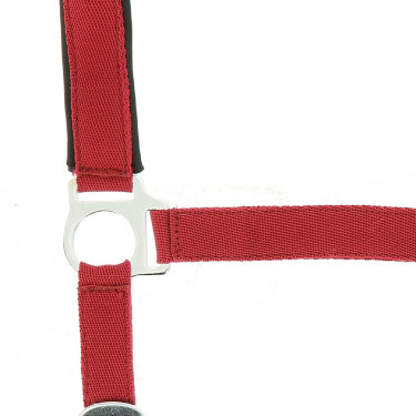 Halster Norton nylon gevoerd met neopreen Rood