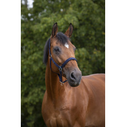 Halster Norton nylon gevoerd met neopreen Marineblauw Halster Norton nylon gevoerd met neopreen Marineblauw