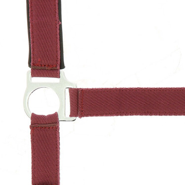 Halster Norton nylon gevoerd met neopreen Bordeaux