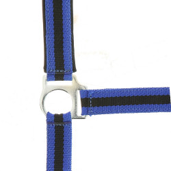 Halster Norton nylon gevoerd met neopreen Koningsblauw / zwart Halster Norton nylon gevoerd met neopreen Koningsblauw / zwart