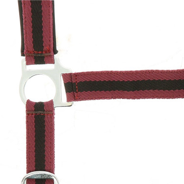 Halster Norton nylon gevoerd met neopreen Bordeaux / zwart Halster Norton nylon gevoerd met neopreen Bordeaux / zwart