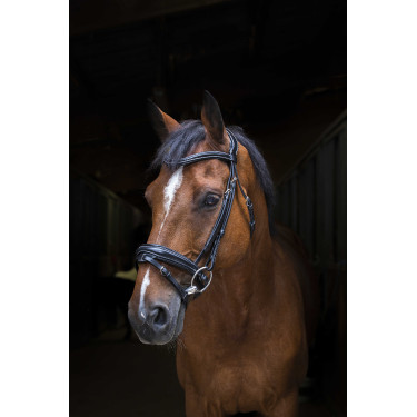 Bridon Eric Thomas Pro Design Zwart