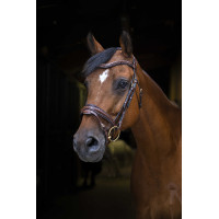 Bridon Eric Thomas Pro Design Havana Bruin