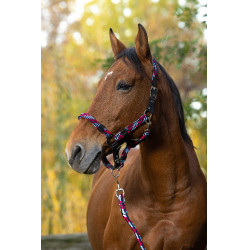 Halster + lijn Equitheme Gevlochten Fuchsia / lichtblauw / marineblauw Roze