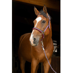 Halster + lijn Norton Brillant Rood / marine / zilver