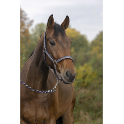 Halster + lijn Norton Brillant Taupe / marine / zilver Bruin Halster + lijn Norton Brillant Taupe / marine / zilver Bruin