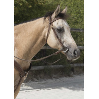 Bridon Westride door Franck Perret Colorado Chocolade Bruin