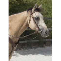 Bridon Westride door Franck Perret Colorado Chocolade Bruin