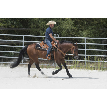 Selle Westride door Franck Perret Aurora Hazelnoot Bruin Selle Westride door Franck Perret Aurora Hazelnoot Bruin