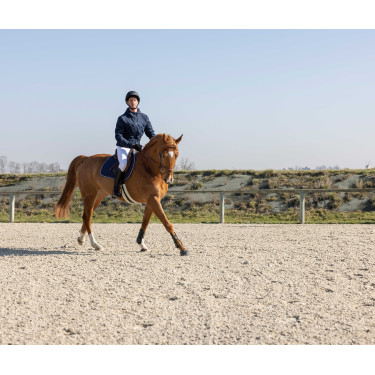 Gewatteerde jas Pro Series Diagonal Marineblauw Gewatteerde jas Pro Series Diagonal Marineblauw