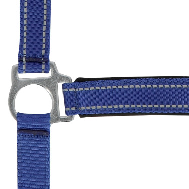 Norton Reflective halster Blauw