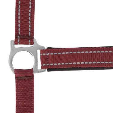 Norton Reflective halster Bordeaux
