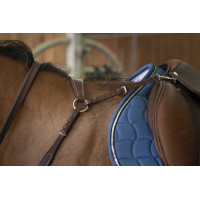 Jachtmartingaal Norton Pro Comfort Zwart