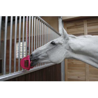 Speelgoed Bizzy Ball Likit Fuchsia Roze